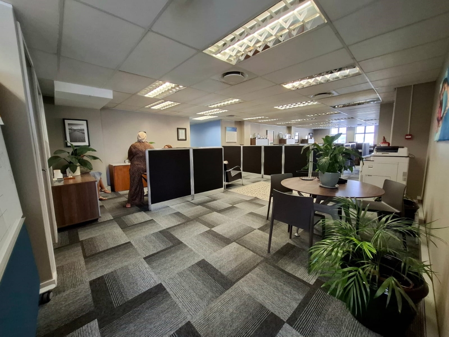 To Let commercial Property for Rent in Rondebosch Western Cape